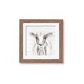 Picture of Frontal Cow Portrait _GroupedProduct_Square_Framed_Matted_