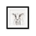 Picture of Frontal Cow Portrait _GroupedProduct_Square_Framed_Matted_