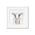 Picture of Frontal Cow Portrait _GroupedProduct_Square_Framed_Matted_