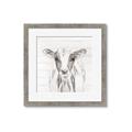Picture of Frontal Cow Portrait _GroupedProduct_Square_Framed_Matted_
