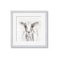 Picture of Frontal Cow Portrait _GroupedProduct_Square_Framed_Matted_