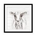 Picture of Frontal Cow Portrait _GroupedProduct_Square_Framed_Matted_