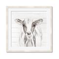 Picture of Frontal Cow Portrait _GroupedProduct_Square_Framed_Matted_