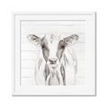 Picture of Frontal Cow Portrait _GroupedProduct_Square_Framed_Matted_