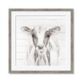 Picture of Frontal Cow Portrait _GroupedProduct_Square_Framed_Matted_