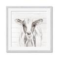 Picture of Frontal Cow Portrait _GroupedProduct_Square_Framed_Matted_