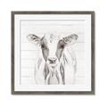 Picture of Frontal Cow Portrait _GroupedProduct_Square_Framed_Matted_