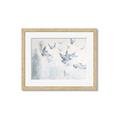 Picture of Flying Together _GroupedProduct_Rectangle_Landscape_Framed_Matted_