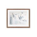 Picture of Flying Together _GroupedProduct_Rectangle_Landscape_Framed_Matted_