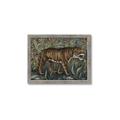 Picture of Baby Tiger _GroupedProduct_Rectangle_Landscape_Framed_Matted_