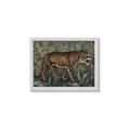 Picture of Baby Tiger _GroupedProduct_Rectangle_Landscape_Framed_Matted_