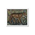 Picture of Baby Tiger _GroupedProduct_Rectangle_Landscape_Framed_Matted_