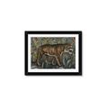 Picture of Baby Tiger _GroupedProduct_Rectangle_Landscape_Framed_Matted_