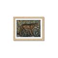Picture of Baby Tiger _GroupedProduct_Rectangle_Landscape_Framed_Matted_