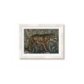 Picture of Baby Tiger _GroupedProduct_Rectangle_Landscape_Framed_Matted_