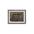 Picture of Baby Tiger _GroupedProduct_Rectangle_Landscape_Framed_Matted_