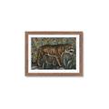 Picture of Baby Tiger _GroupedProduct_Rectangle_Landscape_Framed_Matted_