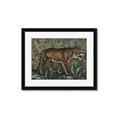 Picture of Baby Tiger _GroupedProduct_Rectangle_Landscape_Framed_Matted_