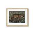 Picture of Baby Tiger _GroupedProduct_Rectangle_Landscape_Framed_Matted_