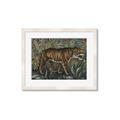 Picture of Baby Tiger _GroupedProduct_Rectangle_Landscape_Framed_Matted_