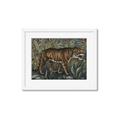 Picture of Baby Tiger _GroupedProduct_Rectangle_Landscape_Framed_Matted_
