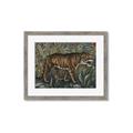 Picture of Baby Tiger _GroupedProduct_Rectangle_Landscape_Framed_Matted_