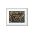 Picture of Baby Tiger _GroupedProduct_Rectangle_Landscape_Framed_Matted_