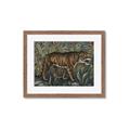 Picture of Baby Tiger _GroupedProduct_Rectangle_Landscape_Framed_Matted_
