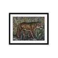Picture of Baby Tiger _GroupedProduct_Rectangle_Landscape_Framed_Matted_