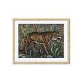 Picture of Baby Tiger _GroupedProduct_Rectangle_Landscape_Framed_Matted_