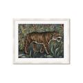Picture of Baby Tiger _GroupedProduct_Rectangle_Landscape_Framed_Matted_