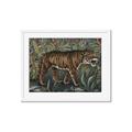 Picture of Baby Tiger _GroupedProduct_Rectangle_Landscape_Framed_Matted_