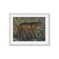 Picture of Baby Tiger _GroupedProduct_Rectangle_Landscape_Framed_Matted_