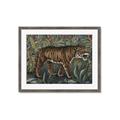 Picture of Baby Tiger _GroupedProduct_Rectangle_Landscape_Framed_Matted_
