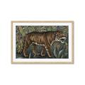 Picture of Baby Tiger _GroupedProduct_Rectangle_Landscape_Framed_Matted_