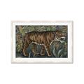Picture of Baby Tiger _GroupedProduct_Rectangle_Landscape_Framed_Matted_