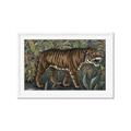 Picture of Baby Tiger _GroupedProduct_Rectangle_Landscape_Framed_Matted_