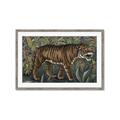 Picture of Baby Tiger _GroupedProduct_Rectangle_Landscape_Framed_Matted_