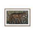 Picture of Baby Tiger _GroupedProduct_Rectangle_Landscape_Framed_Matted_