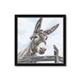Picture of Donkey time _GroupedProduct_Square_Framed_Matted_