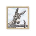 Picture of Donkey time _GroupedProduct_Square_Framed_Matted_