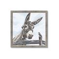 Picture of Donkey time _GroupedProduct_Square_Framed_Matted_