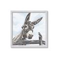 Picture of Donkey time _GroupedProduct_Square_Framed_Matted_