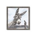 Picture of Donkey time _GroupedProduct_Square_Framed_Matted_