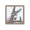 Picture of Donkey time _GroupedProduct_Square_Framed_Matted_