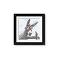 Picture of Donkey time _GroupedProduct_Square_Framed_Matted_