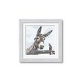 Picture of Donkey time _GroupedProduct_Square_Framed_Matted_