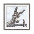 Picture of Donkey time _GroupedProduct_Square_Framed_Matted_