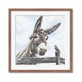 Picture of Donkey time _GroupedProduct_Square_Framed_Matted_