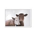 Picture of Cow buddies _GroupedProduct_Rectangle_Landscape_Framed_Matted_
